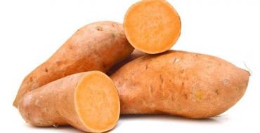 Сладкий картофель (батат): польза и правила выращивания